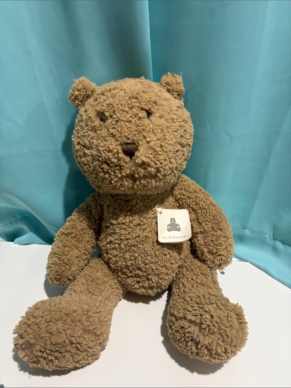 GAP Brannon Large Light Brown Plush Teddy Bear Stuffed Animal